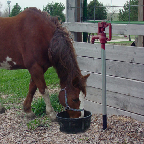 Cheval avec Robinet