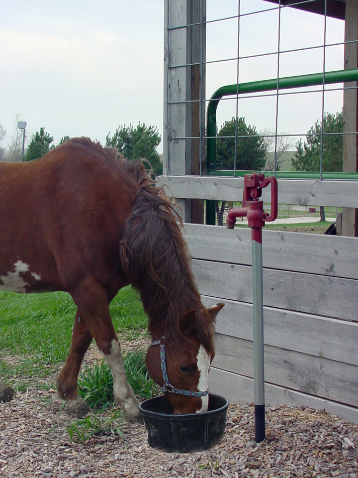 Cheval avec Robinet